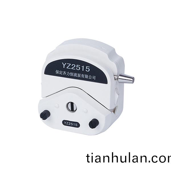 蠕(ru)動泵泵頭(tou)常見問(wen)題(ti)有(you)哪些