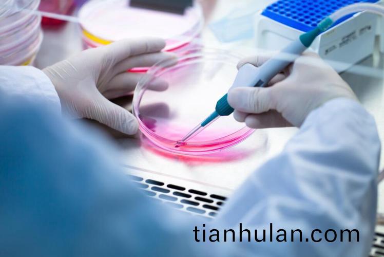 齊力蠕(ru)動(dong)泵(beng)在細胞培養(yang)中(zhong)的(de)應(ying)用